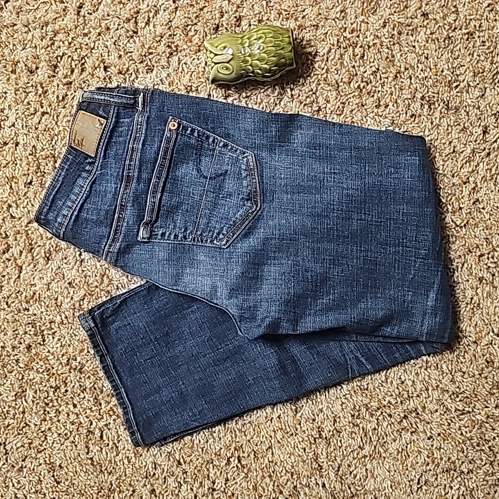 American Eagle Outfitters Dark Blue Women Jeans